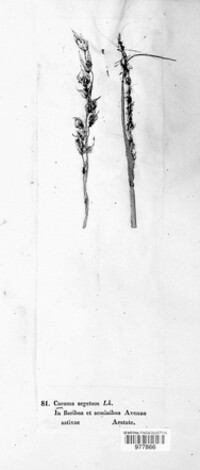 Image Associated With the Occurence
